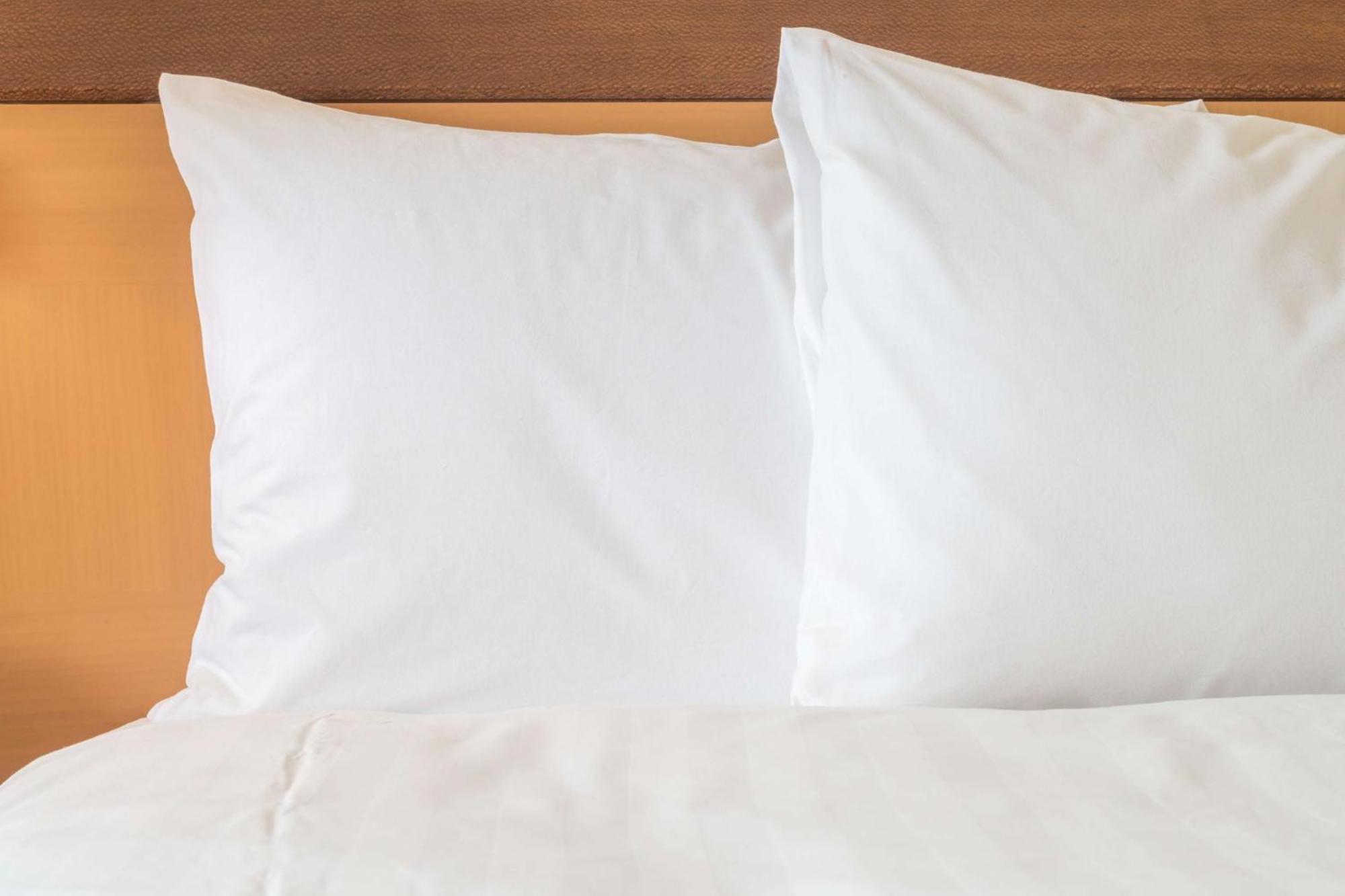 Holiday Inn Chicago O'Hare - Rosemont By Ihg Εξωτερικό φωτογραφία